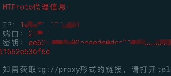 服务器一键搭建Telegram的MTProto代理
